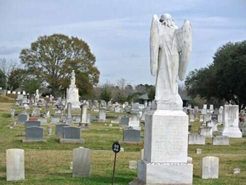 A graveyard with many headstones, a large white angel statue, and trees on a cloudy day.