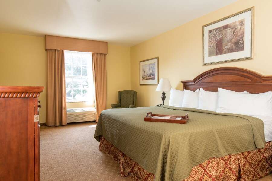 Hotel room with a king-sized bed, large window, and wooden furniture in shades of brown and green.